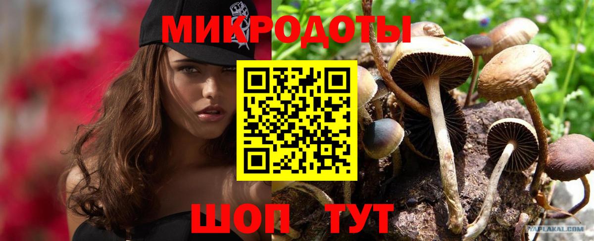 Псилоцибиновые грибы MAGIC MUSHROOMS Севастополь